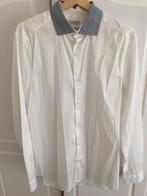Calvin Klein hemd Nieuw, Ophalen of Verzenden, Nieuw, Wit, Halswijdte 41/42 (L)