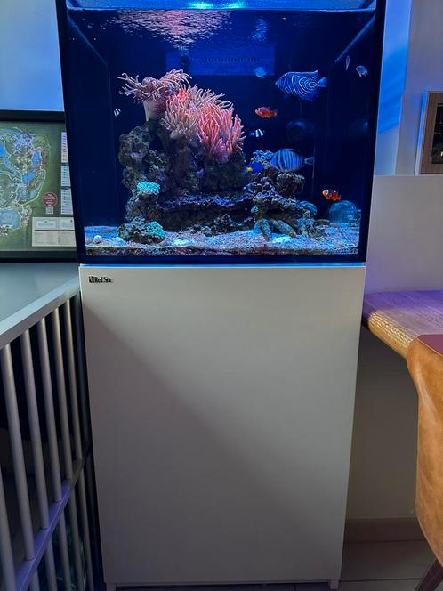 Red Sea reefer 170 G2, Dieren en Toebehoren, Vissen | Aquaria en Toebehoren, Zo goed als nieuw, Ophalen