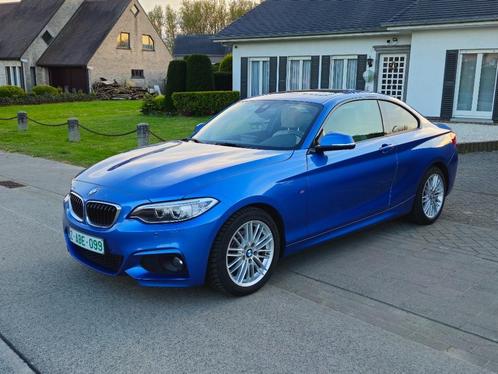 BNW 218i *2017 *133 000km *M-pakket *veel opties *garantie, Auto's, BMW, Bedrijf, 2 Reeks, ABS, Achteruitrijcamera, Adaptieve lichten