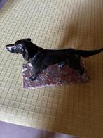 beeld hond, Ophalen