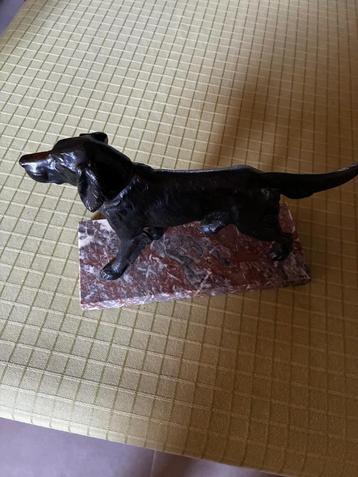 beeld hond beschikbaar voor biedingen