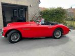1962 Austin Healey 3000 TriCarb Oldtimer, Gebruikt, Overige brandstoffen, Bedrijf, Handgeschakeld