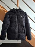 Veste d'hiver Calvin Klein 16y noire, Garçon, Enlèvement ou Envoi, Manteau, Calvin Klein