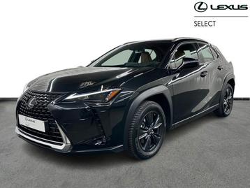 Lexus UX 250h Business Line Plus  beschikbaar voor biedingen