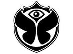 Tomorrowland Standaart Ticket gezocht 26/7 zaterdag, Tickets en Kaartjes, Evenementen en Festivals, Eén persoon