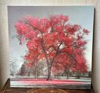 Belle photo d'arbres en 3D sur panneau dur., Enlèvement