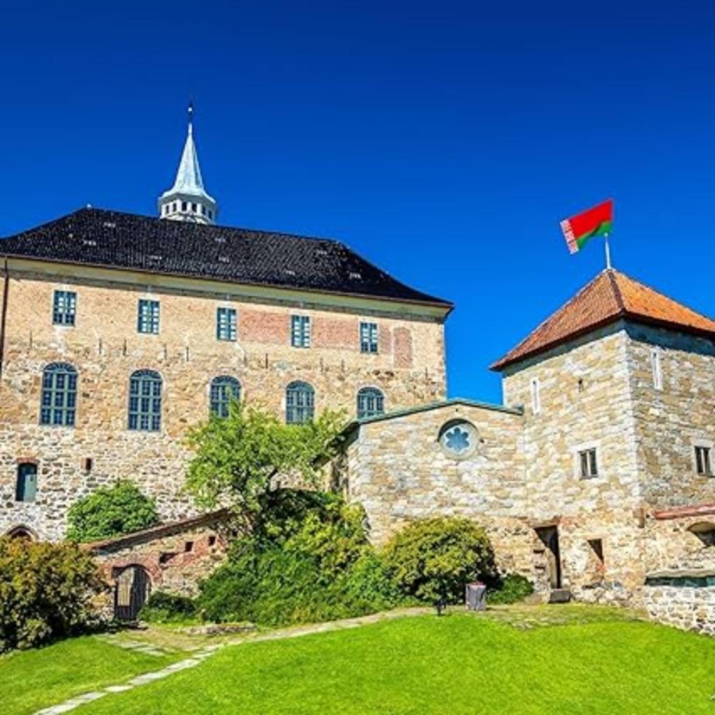 Drapeau du Bélarus | 91 x 152 cm | Nouveau, Neuf, -, -, Runesol