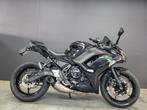 Kawasaki Ninja 650 (A2 mogelijk) (bj 2021), Motoren, Bedrijf, Meer dan 35 kW, Overig, 650 cc