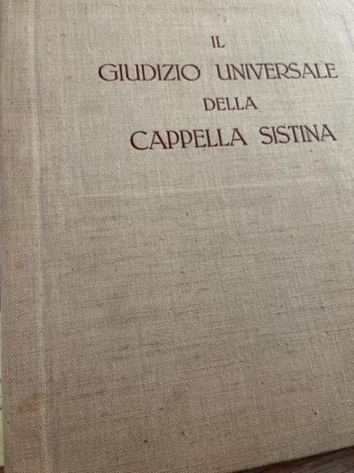 chapelle sixtine -l'accademia firenze, Livres, Art & Culture | Arts plastiques, Comme neuf, Peinture et dessin, Enlèvement ou Envoi