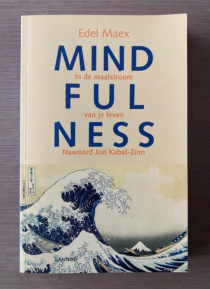 Boek mindfulness van Edel Maex - NIEUW, Boeken, Psychologie, Nieuw, Cognitieve psychologie, Verzenden