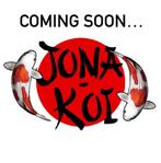 Jona-Koi, Dieren en Toebehoren, Karper of Koi