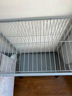 Cage, Animaux & Accessoires, Oiseaux | Cages & Volières, Comme neuf, Autres types, Métal