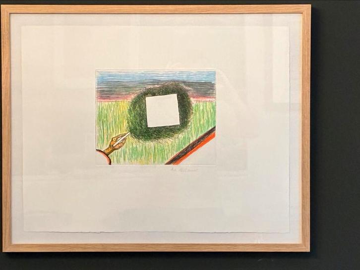 ROGER RAVEEL Een drang naar volmaaktheid, Antiek en Kunst, Kunst | Litho's en Zeefdrukken, Ophalen of Verzenden