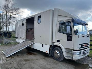 Iveco 120E18 - 3 HORSES - MANUAL - STEEL SUSPENSION MJC12047 beschikbaar voor biedingen