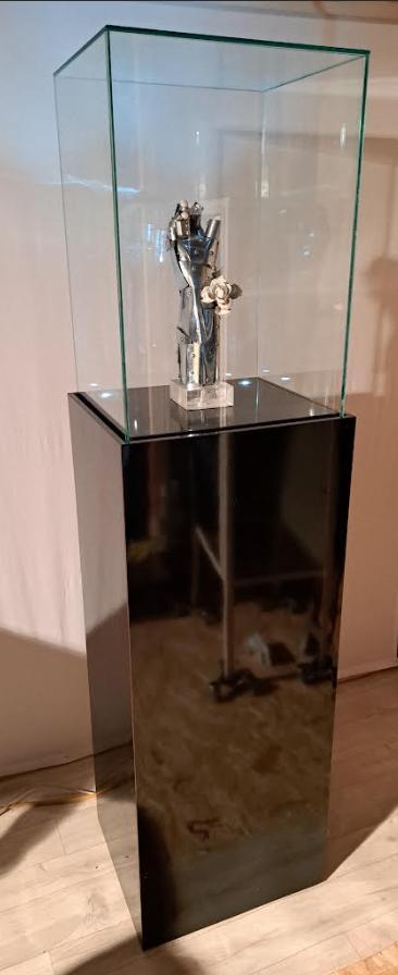 Sokkelvitrine, Antiquités & Art, Art | Objets design, Enlèvement