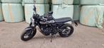 Brixton Crossfire 500 X - 35 kw - matt black - 500cc - demo, Motoren, 2 cilinders, 486 cc, Brixton, Particulier