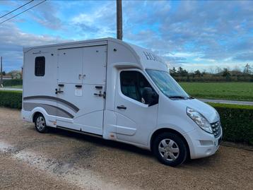 Renault master Nuyts paardencamionette