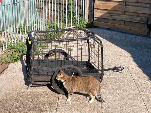 Fiets aanhangwagen voor hond(en), Fietsen en Brommers, Fietsaccessoires | Aanhangwagens en Karren, Zo goed als nieuw, Ophalen