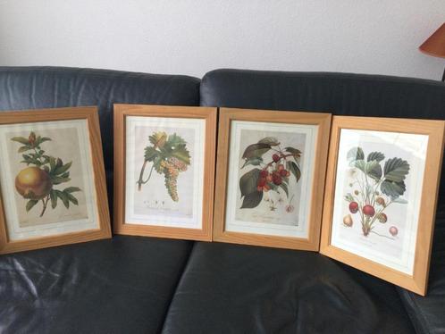 '4 groentekaders, reproducties, gedrukt door Langlois, Antiek en Kunst, Kunst | Tekeningen en Fotografie, Ophalen
