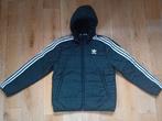 Veste d'hiver Adidas. Nouveau plus tôt pour la mi-saison, ta, Neuf, Adidas, Garçon ou Fille, Enlèvement ou Envoi
