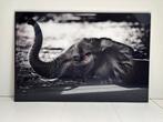 Genummerde fotokader olifant - YellowKorner., Ophalen
