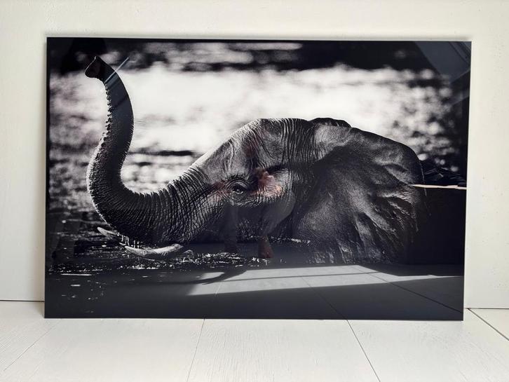 Genummerde fotokader olifant - YellowKorner., Antiek en Kunst, Kunst | Tekeningen en Fotografie, Ophalen