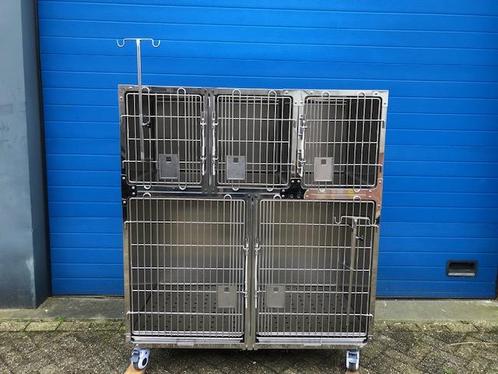 Hospitalisatiekooien, opnamekooien, honden en kattenkooien, Diversen, Braces