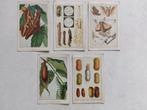 5 oude prenten (kaarten) - biologie, Collections, Envoi