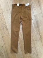 Broek chino heren, Ophalen of Verzenden, Zo goed als nieuw, Oranje, Scotch & Soda