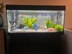 Aquarim rio 180 met kast + benodigdheden, Dieren en Toebehoren, Vissen | Aquaria en Toebehoren, Ophalen, Zo goed als nieuw