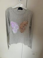 Leuke lichtgrijze longsleeve met vlinder, Gebruikt, Meisje, H&M, Ophalen of Verzenden