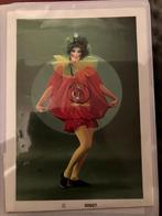 carnavalkleding allerlei, Enlèvement, Porté, Vêtements