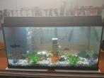 Aquarium met vissen, Dieren en Toebehoren, Ophalen of Verzenden, Zo goed als nieuw
