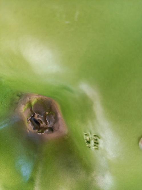 Cores da terra XL granny appel: prachtig decoratief!, Antiek en Kunst, Kunst | Designobjecten, Ophalen