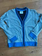 Grijs katoenen vestje met blauwe boord, CKS 12 jaar, Ophalen, Zo goed als nieuw, Jongen, Trui of Vest