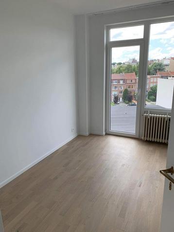 Entrepreneur - Plafonneur - Renovation - Peinture - Gyproc