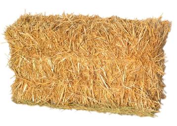 Petits ballots de paille beschikbaar voor biedingen