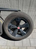 Jaguar: velgen en zomerbanden, 4 stuks, Ophalen, Zomerbanden, Velg(en)