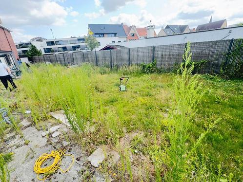 Tuinman gezocht? Gras maaien, snoeien en hagen | Naturs, Diensten en Vakmensen, Tuinmannen en Stratenmakers