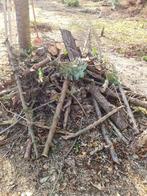 Gratis brandhout, 6 m³ of meer, Ophalen, Overige houtsoorten, Stammen