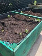 Plantenbak + Potgrond, Tuin en Terras, Bloempotten, Overige materialen, 40 tot 70 cm, Gebruikt, 40 cm of meer