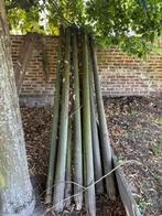 Houten palen, Ophalen, Gebruikt, 250 cm of meer, Palen