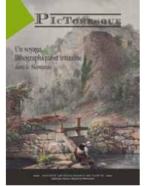 Pictoresque. Un voyage lithographique et intimiste..., Boeken, Kunst en Cultuur | Beeldend, Nieuw, Overige onderwerpen, Ophalen of Verzenden