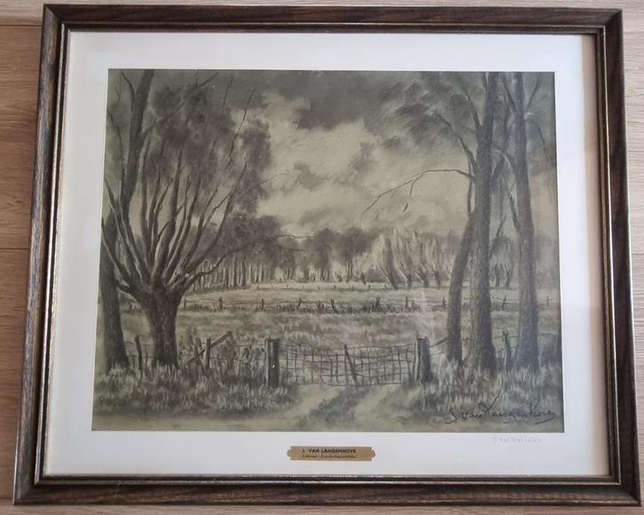 Julien Van Langenhove - Latemse meersen, Antiek en Kunst, Kunst | Schilderijen | Klassiek, Ophalen