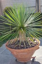 Eyecatcher op terras of tuin, Tuin en Terras, Ophalen