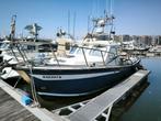 Lochin 33 met 350pk cummins, Watersport en Boten, Gebruikt, Binnenboordmotor, 6 meter of meer, Diesel