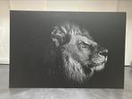 Prachtige foto Leeuw op Dibond 120x80, Huis en Inrichting, Woonaccessoires | Schilderijen, Tekeningen en Foto's, Ophalen, Zo goed als nieuw