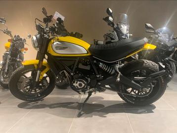 Ducati scrambler Icon 800 ABS