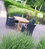 Uitschuifbare tafel (teak) met 6 zw wicker stoelen+kussens, Wicker, Nieuw, Tuinset, Eettafel