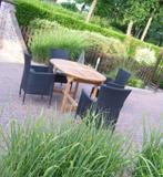 Uitschuifbare tafel (teak) met 6 zw wicker stoelen+kussens, Tuin en Terras, Tuinsets en Loungesets, Ophalen, Eettafel, Nieuw, Wicker